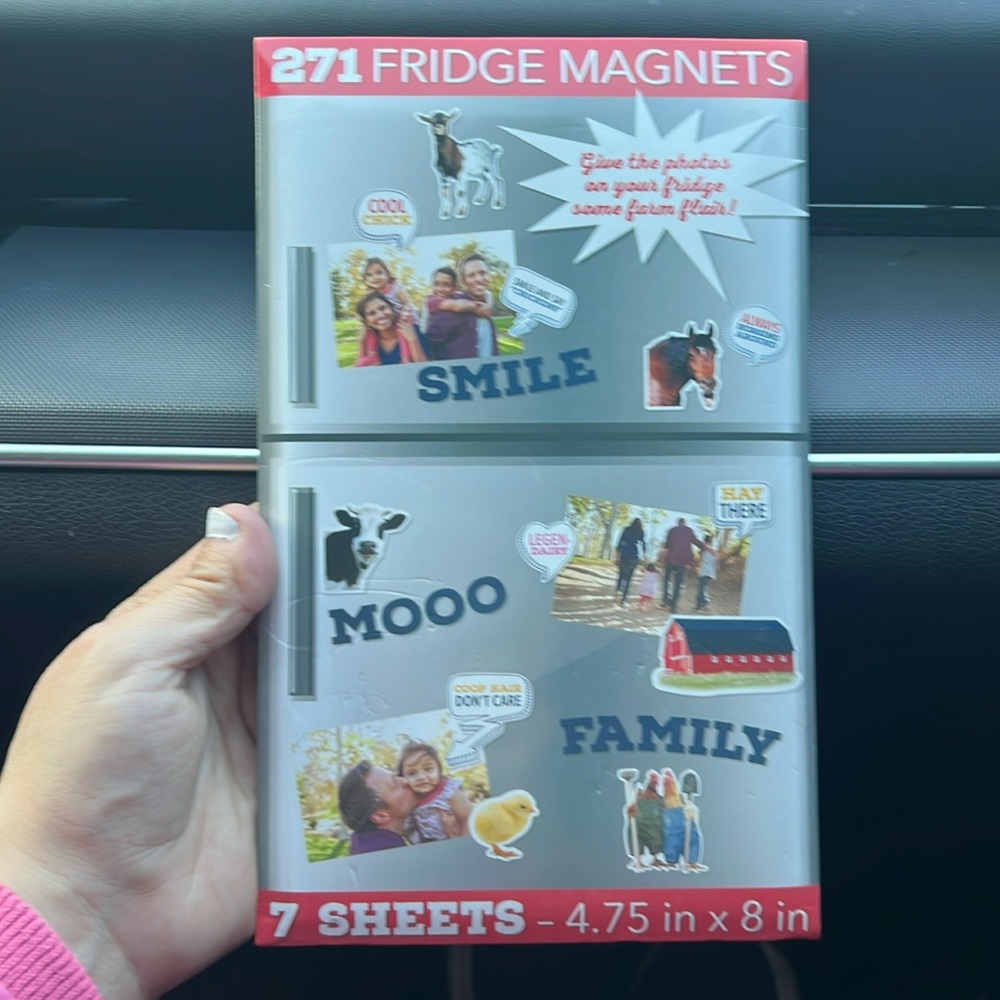 Magnets , 271 fridge magnets